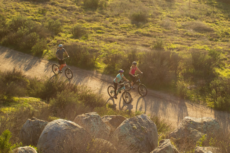 stand up mountain bike